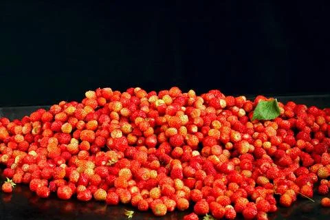 Wild strawberries background 스톡 사진