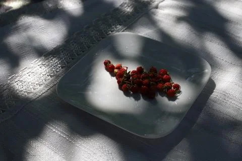 Wild strawberries Stock Photos