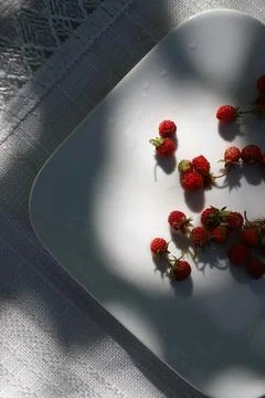 Wild strawberries Stock Photos