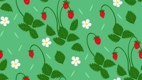 Wild strawberry multicolor seamless pattern for branding package Stock Illustration