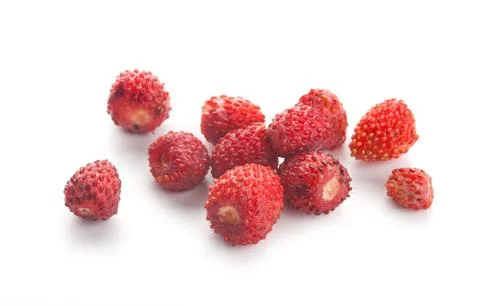 Wild strawberry Stock Photos