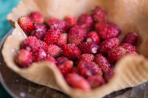 Wild strawberry Stock Photos