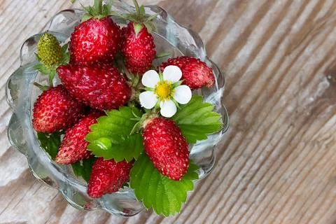 Wild strawberry on a wooden background Stock Photos