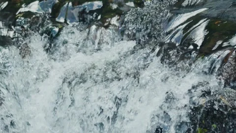 Wild stream flowing over rocks in lush forest Stock Footage 303807990