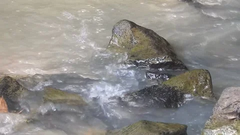 Wild Stream Flowing Through Untouched Nature Stock Footage 308528831