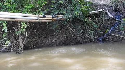 Wild Stream Flowing Through Untouched Nature Stock Footage 308528842