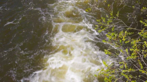 Wild stream Stock Footage 31216733