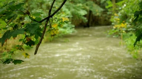 Wild stream with kayak 動画素材 21233996