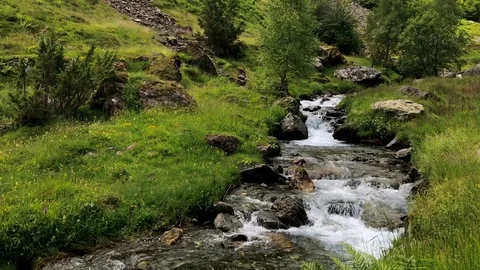 Wild stream moves along a mountain scenery Stock Footage 97823607