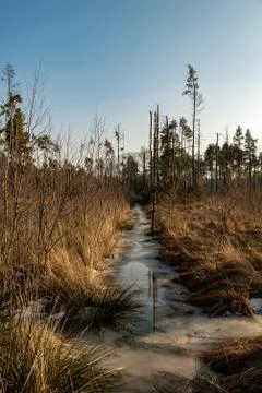 A wild stream in Nicklheim with great reflections Stock Photos