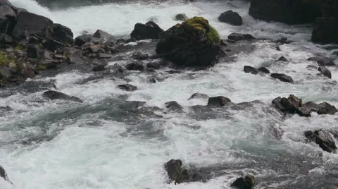 Wild stream river in the wilderness Stock Footage 52999394