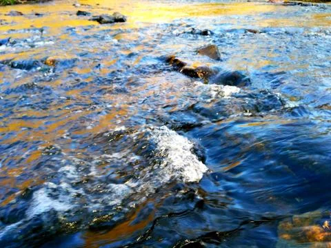 Wild stream in the spring Stock Photos