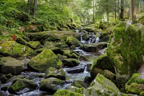 Wild stream in a stream bed made of moss-covered stones Foto stock