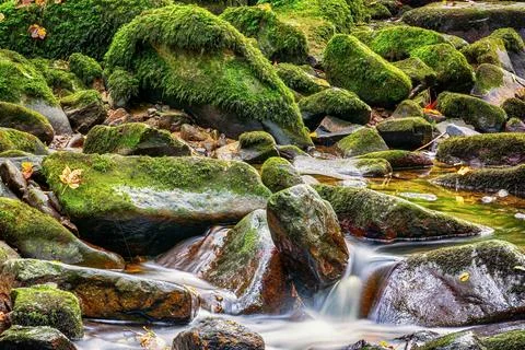 Wild stream in a stream bed Foto stock