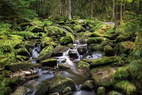Wild stream in a stream bed Stock Photos