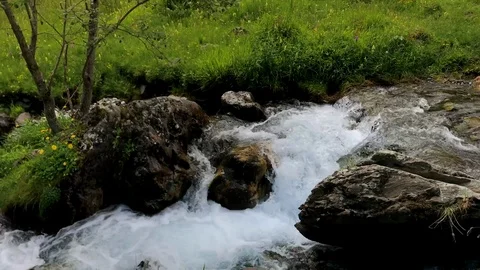 Wild stream in a summer day mountain scenery Video stock 95913406
