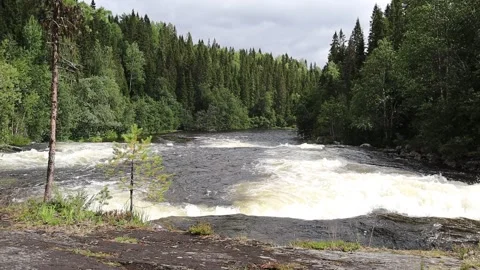 Wild streaming water at a river Stock Footage 286253014