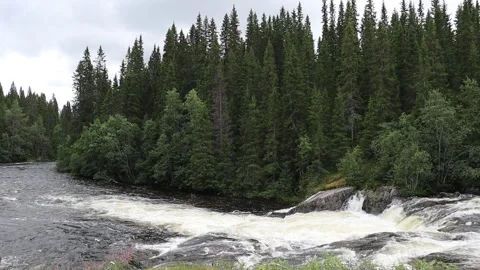 Wild streaming water at a river. Stock Footage 286253054