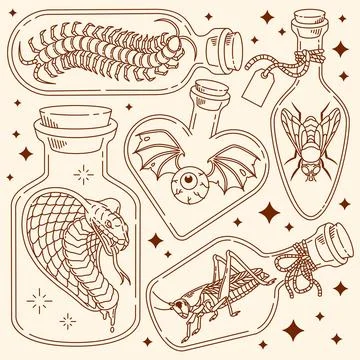 Wild stuff in a bottle illustration Stock Illustration