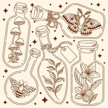 Wild stuff in a bottle illustration Stock Illustration
