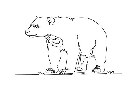 Wild sun bear standing on all fours. Stocky body, expressive face Stock Illustration