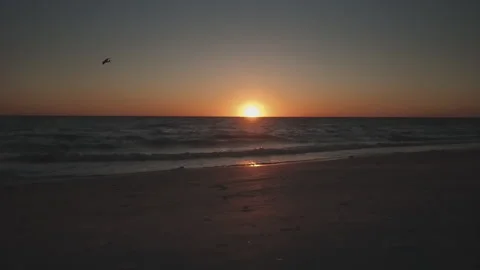 Wild Sunset Over The Gulf 動画素材 169203369