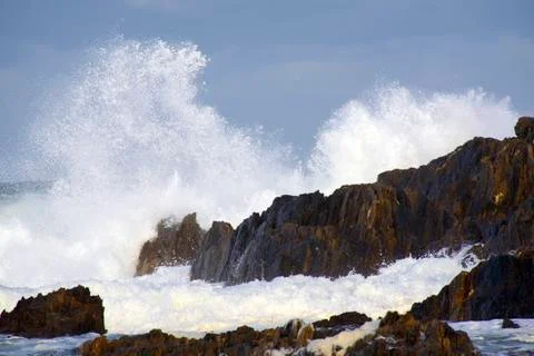 Wild Surf Foto stock