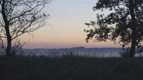 WILD SWAMP LANDSCAPE, SUNSET Stock Footage 68859355