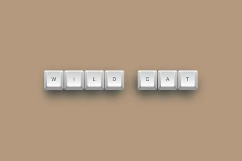 Wild text on a 3d keyboard button with shadow concept series 스톡 일러스트