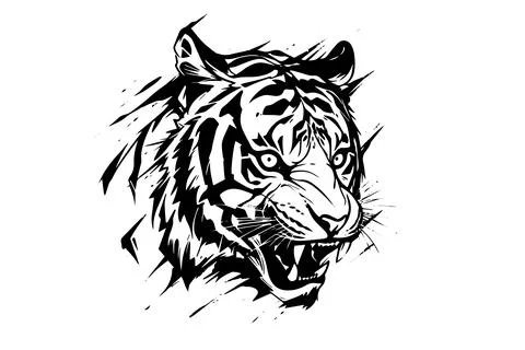 Wild Tiger Head Vector Illustration, Black and White Sketch Design. Stock Illustration