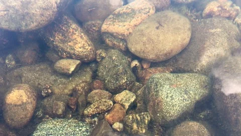 Wild tiny fry in shallow clean river water. View from the top 스톡 동영상 222722336