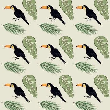 Wild toucans birds and leafs plants pattern background 스톡 일러스트