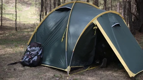 Wild tourism. 動画素材 75752043