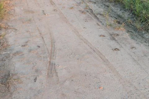 Wild track 스톡 사진