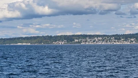 Wild Transient Orca Pod (Bigg's Killer Whales) In Puget Sound, Pacific Stock Footage 345042324