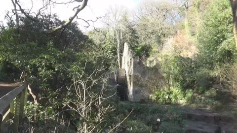 Wild trees and an old watermill n Stock-Footage 150745596