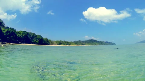 Wild tropical beach Stock Footage 36807591