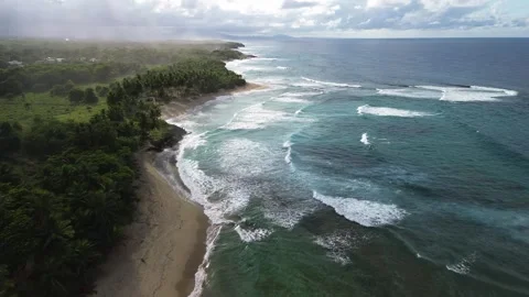 Wild Tropical Beach with Strong Waves and Lush Jungle, Dominican Republic Video stock 314060182