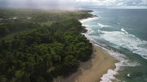 Wild Tropical Beach with Strong Waves and Lush Jungle, Dominican Republic Stock Footage 314060202