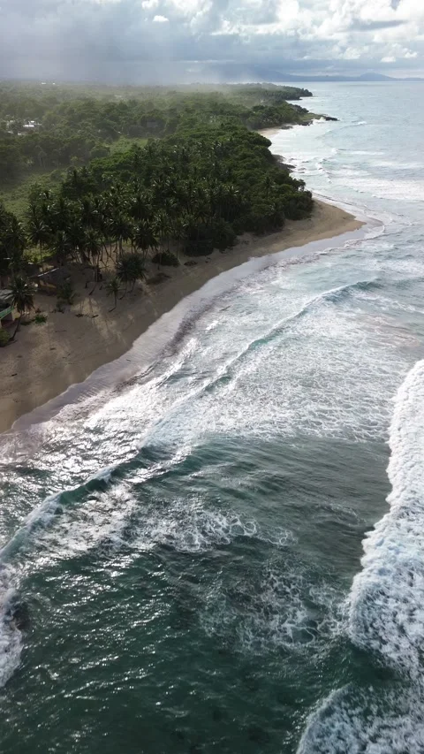 Wild Tropical Beach with Strong Waves and Lush Jungle. Aerial View Stock Footage 314805958