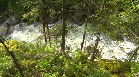 Wild turbulent river, #5 Stock Footage
