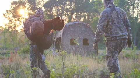 Wild Turkey Hunting Stock Footage 4937183