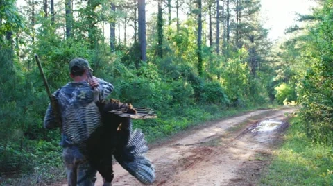 Wild Turkey Hunting 動画素材 10882716