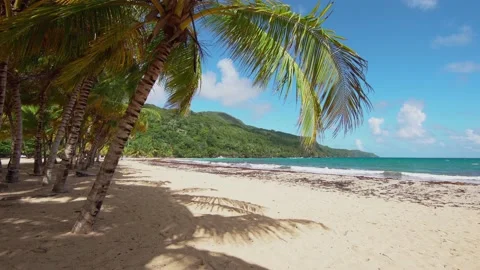 A wild untouched tropical beach deep in the hilly peninsula.  Stock Footage 166750182