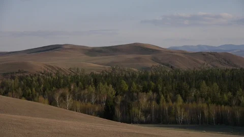 Wild valley in Siberia Stock Footage 103437228