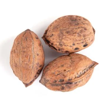 Wild walnuts isolated on a white background Stock-Fotos