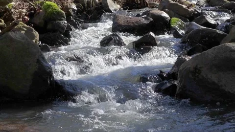 Wild water flows between stones in a forest stream 스톡 동영상 273156973