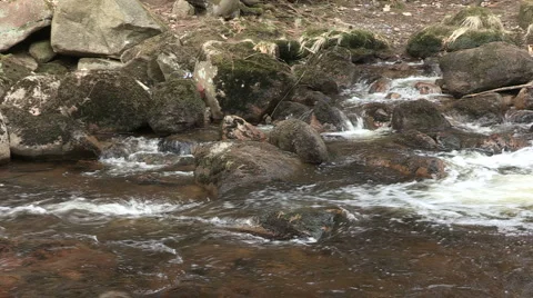 Wild water Stock Footage