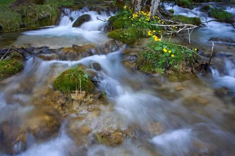 Wild water Stock Photos