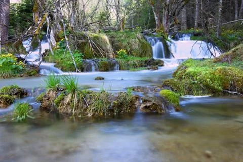 Wild water Stock Photos